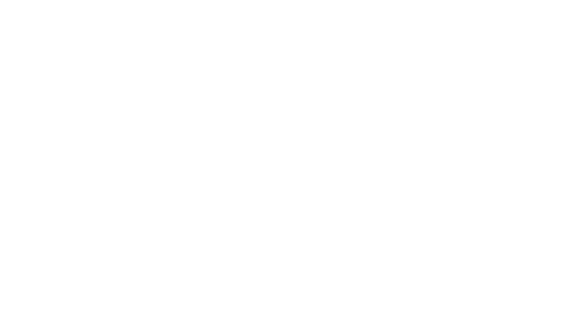 Competencias profesionales de la carrera de Ingeniería Económica y Financiera